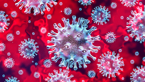 virus cells